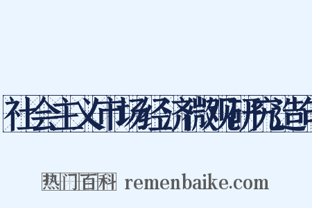 社会主义市场经济微观研究造句是什么意思的图片